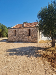 laboratorio borriero la creta casa.webp